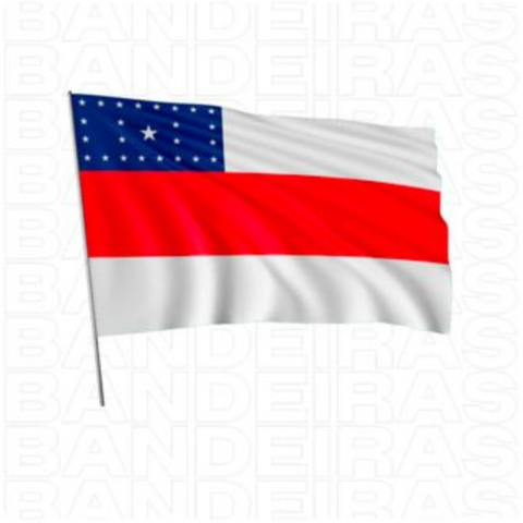 Bandeira Estado do Amazonas