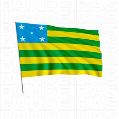 Bandeira Estado de Goiás