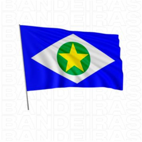 Bandeira Estado do Mato Grosso