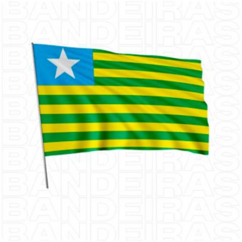 Bandeira Estado de Piauí
