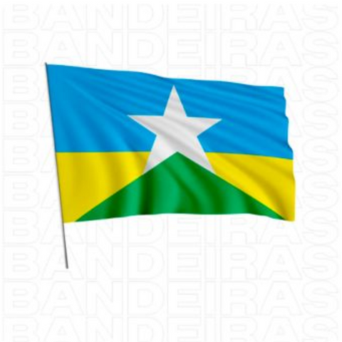 Bandeira Estado de Rondônia
