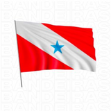 Bandeira Estado do Pará